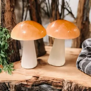 Pure Selenite Crystal mushroom! Selenite mushroom made from natural white & tangerine selenite gypsum, boho natural home decor