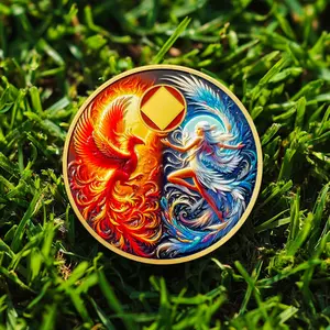 1-99 Years NA Recovery Coins, Phoenix and Elves Narcotics Anonymous Medallion Sobriety Gift