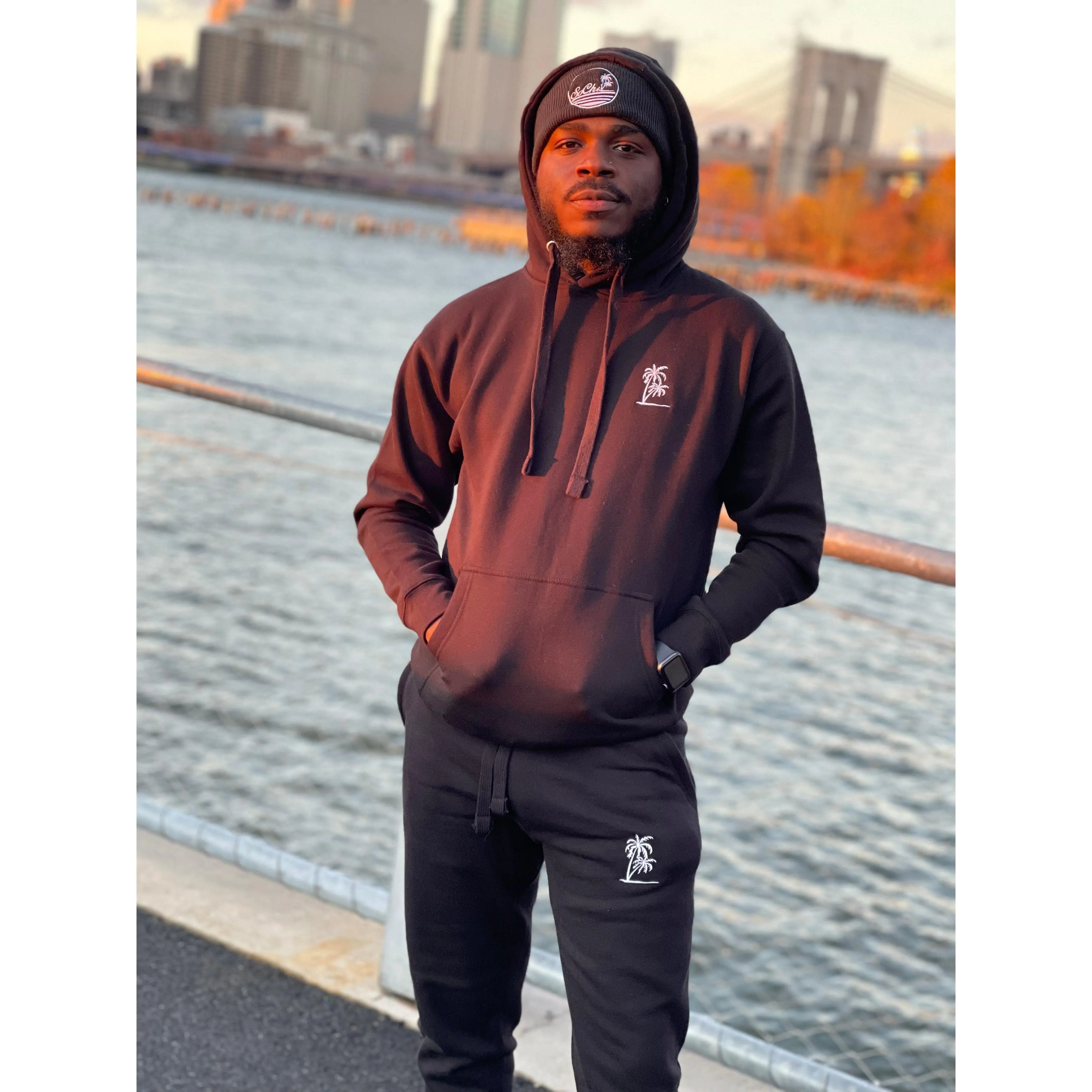 PALMS Hoodie