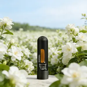 Home Multifunctional Fresh Mint Aromatherapy Refill Stick