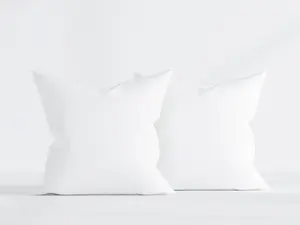 Pillowtex Pillow Insert | White Duck Feather & Down