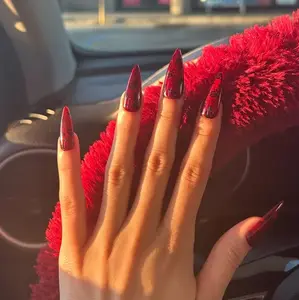 Dark Red Cat Eye Black Roses Press on Nails | Custom Hand-painted Nails | Almond Reusable Nails/Fake Nails