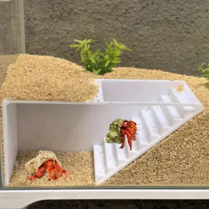 Snail Crab and Shrimp Hideaway Cave with Feeding Pit and Observation Window, Durable Petg Plastic, Suitable for Amphibians, Animal Enclosure