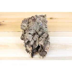 Wholesale: Virgin Cork Bark Slabs By the Piece without Tillandsia Air Plants [Min Order 12]