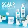 Roycederm 3-Piece Gentle Herbal Haircare Scalp Treatment Set - Antibacterial Cleanser, Shampoo, Conditioner Cream for Psoriasis, Seborrheic Dermatitis, Dandruff, Itchy Scalp Relief, All Hair Types Hydrating Hair Products