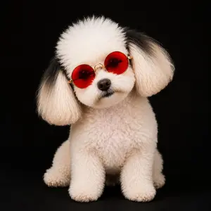 Pet Cat Glasses Cat Sunglasses