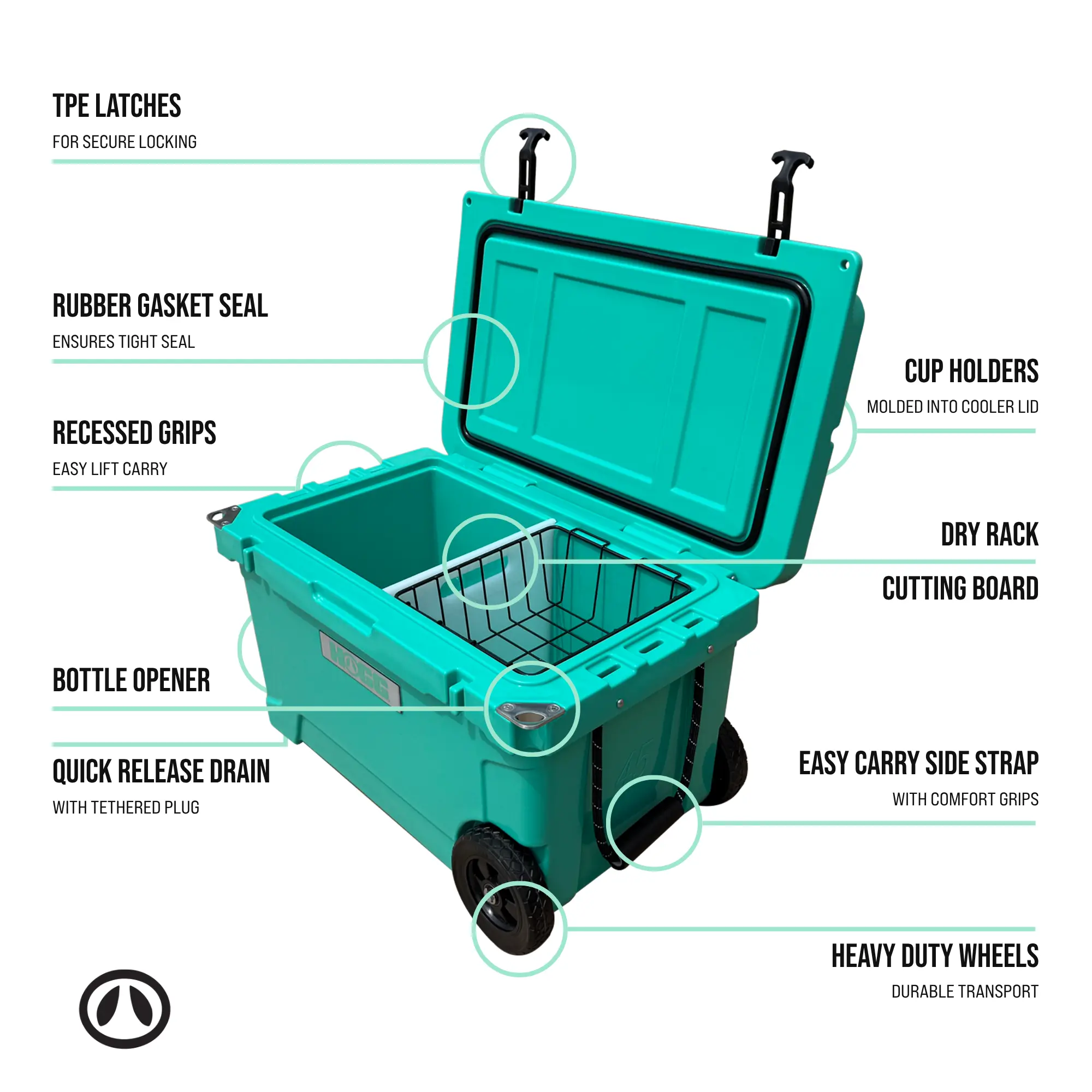 TARRAGONA TEAL