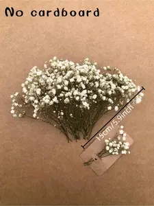 NortureFlora Mini Dried Baby’s Breath Bouquet, 50-400PCS Natural White Decorative Gypsophila Floral Arrangement for Bridesmaid Gifts, Table Decor & Photo Props, DIY Home Supplies