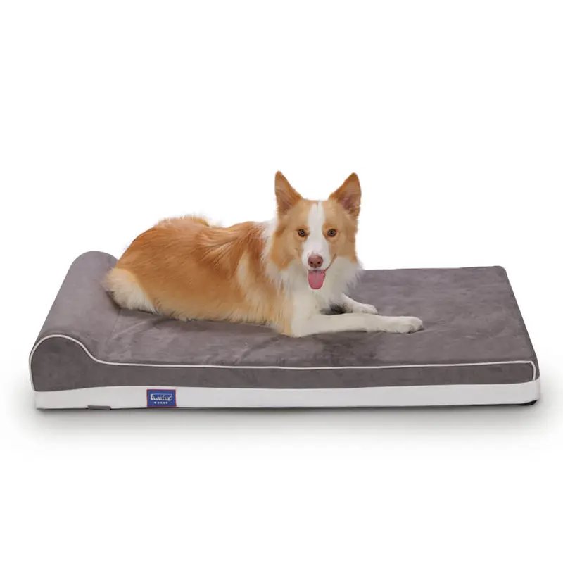 Laifug Orthopedic Memory Foam Extra Large Dog Bed with One Pillow (46"x28"x8") Durable Water Proof Liner & Removable Washable Cover & Smart Design