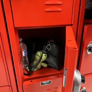 Cute Frog Design Keychain, Cute Animal Design Keychain for Women & Men, Fashion Accessories for Bag Decoration, Keychain For Bags