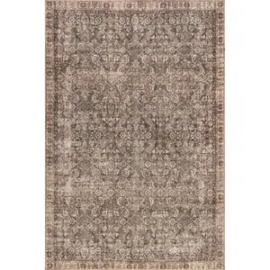 Hillstone Collection Calianna Traditional Vintage Medallion Area Rug