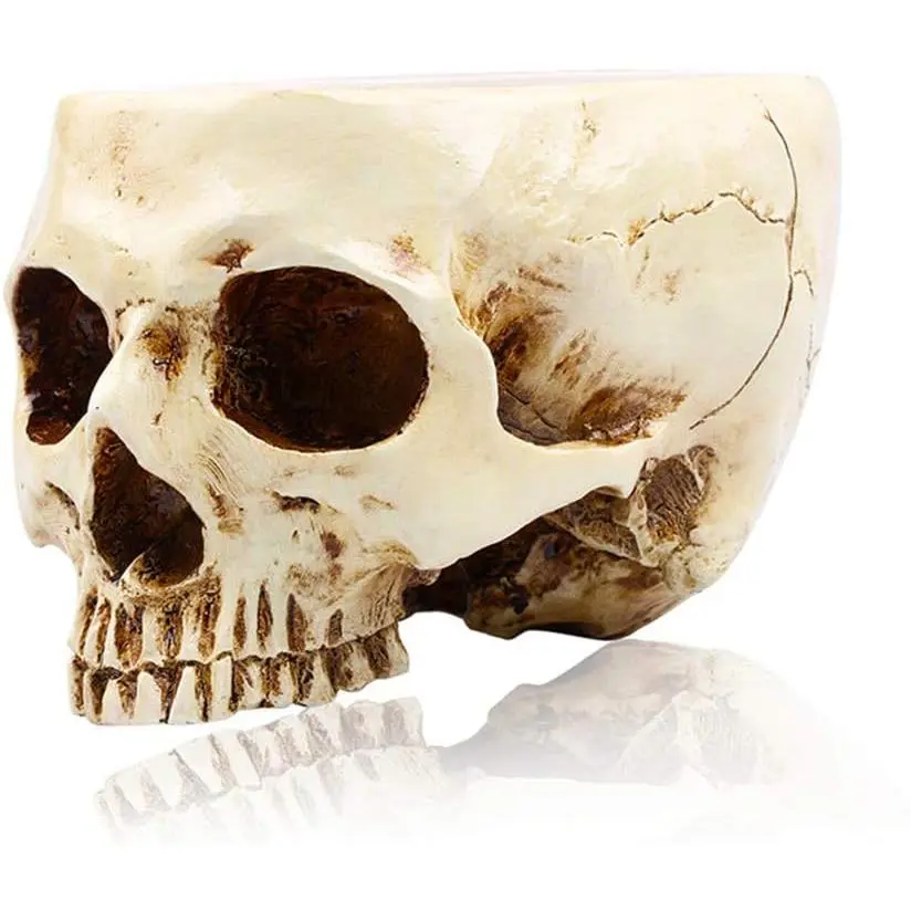 Halloween Decoration Retro Human Skull  Flower Pot Planter Bed Box Container Replica  Bar Decor,Clear