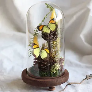 Imitation Glass Dome Taxidermy Butterfly ,4.26x8.2inch Glass Dome Butterfly Decor, Butterfly Gifts, butterfly lamp, for Bedroom Office Living Room Desk,Eternal Transparent Flower Glass Cover, Glass  Dome Cloche Jar with  Base (Not Include Battery）