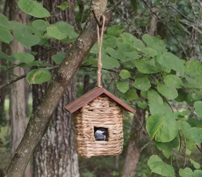 Songbird Essentials Hanging Grass Roosting Pocket with Roof
