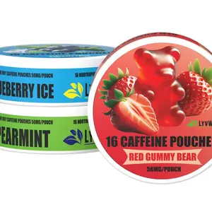 Caffeine Pouches 3 Pack Variety - Blueberry, Spearmint & Strawberry (48 Pouches) Energy Drink, Fruity Beverage, Hydration Drink Sport