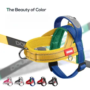 Dog Basic Nylon Halter Harness and Leash Combo - Shock-Proof, Multi-Size, Adjustable Chest Strap - Outdoor Pet Accessory for Small Dogs