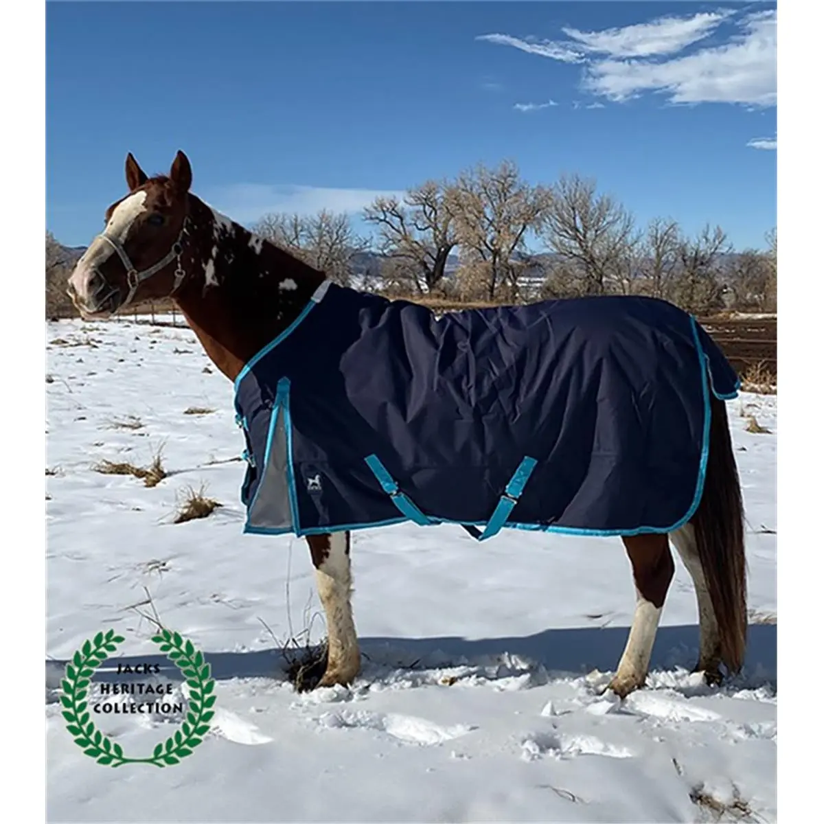 Jacks Kratos Standard Neck Turnout Blanket, Heavy 350g Thermal Fill, Durable 1200D Polyester with Fleece Withers, Waterproof - 76 Inch, Contoured