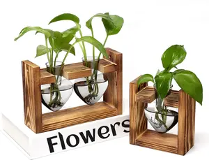 2+1  Terrarium  Propagation Station Birthday Gifts for Women  Lovers Home Office Decor with Wooden Stand