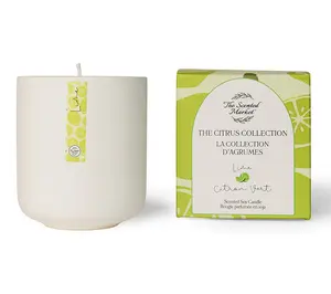 The Scented Market Citrus Scented Soy Candles w/ 60 Hour Burn