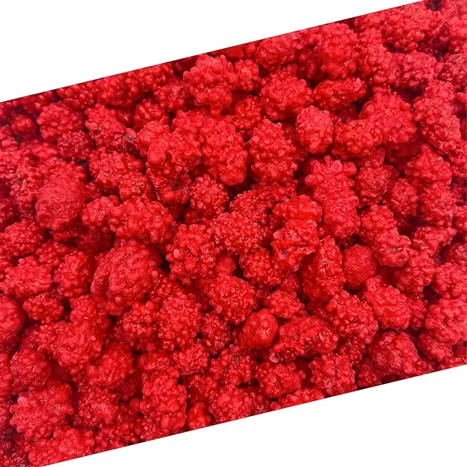 French Burnt Peanuts Candy 1 lb Bag Crunchy Candy Coated Roasted Peanuts Old Fashioned Peanut Candy Sweet & Crunchy Snack Classic Red Candy for Parties Sharing Holidays & Gifts Protein