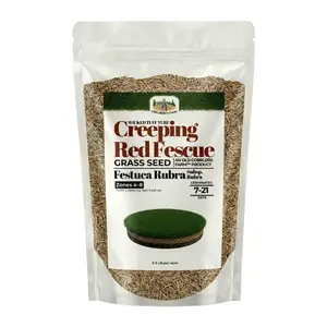 Old Cobblers Farm Wicked Tuff Turf Creeping Red Fescue (5 lbs | 10 lbs | 15 lbs | 20 lbs)