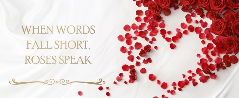 16 Preserved Flowers Rose Boka Birthday Gifts for Women Her Mom Wife Girlfriend Grandma on Valentines Mothers Day Christmas Anniversary Romantic