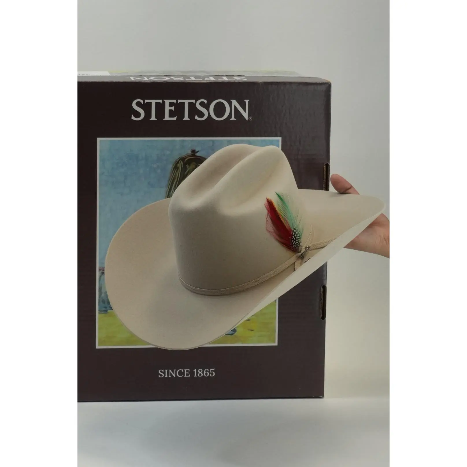 STETSON 6X RANCHER SILVER BELLY