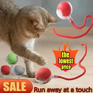 Smart Rolling Pet Ball