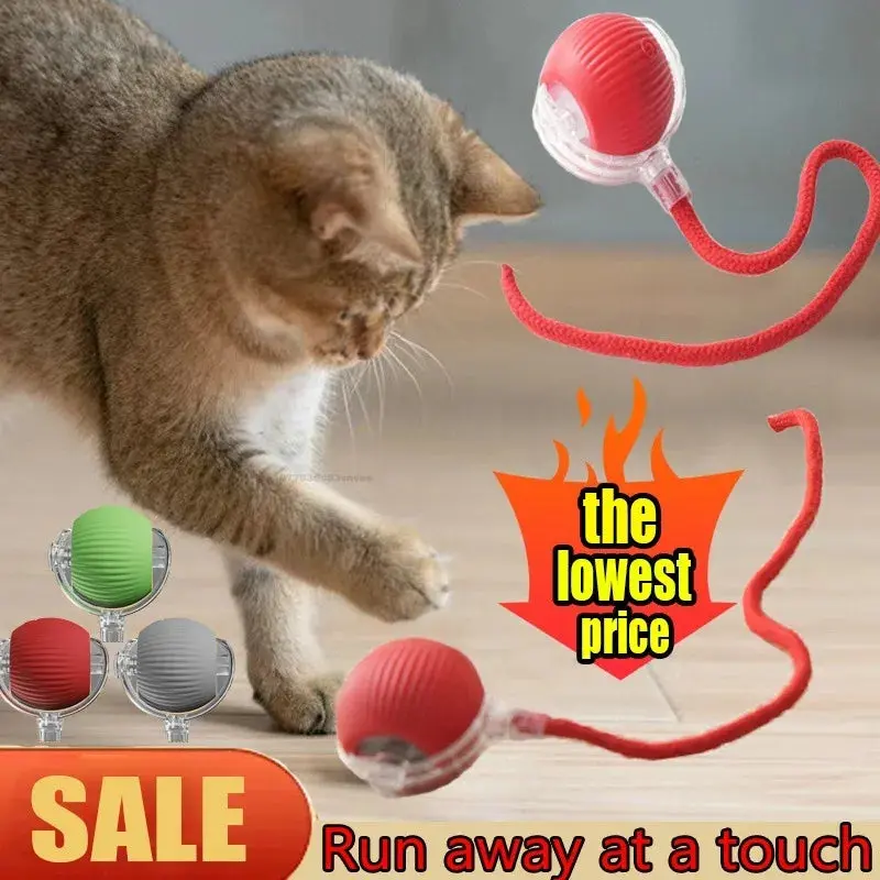Smart Rolling Pet Ball