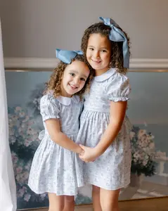 Easter Toile Dress - Smockingbird