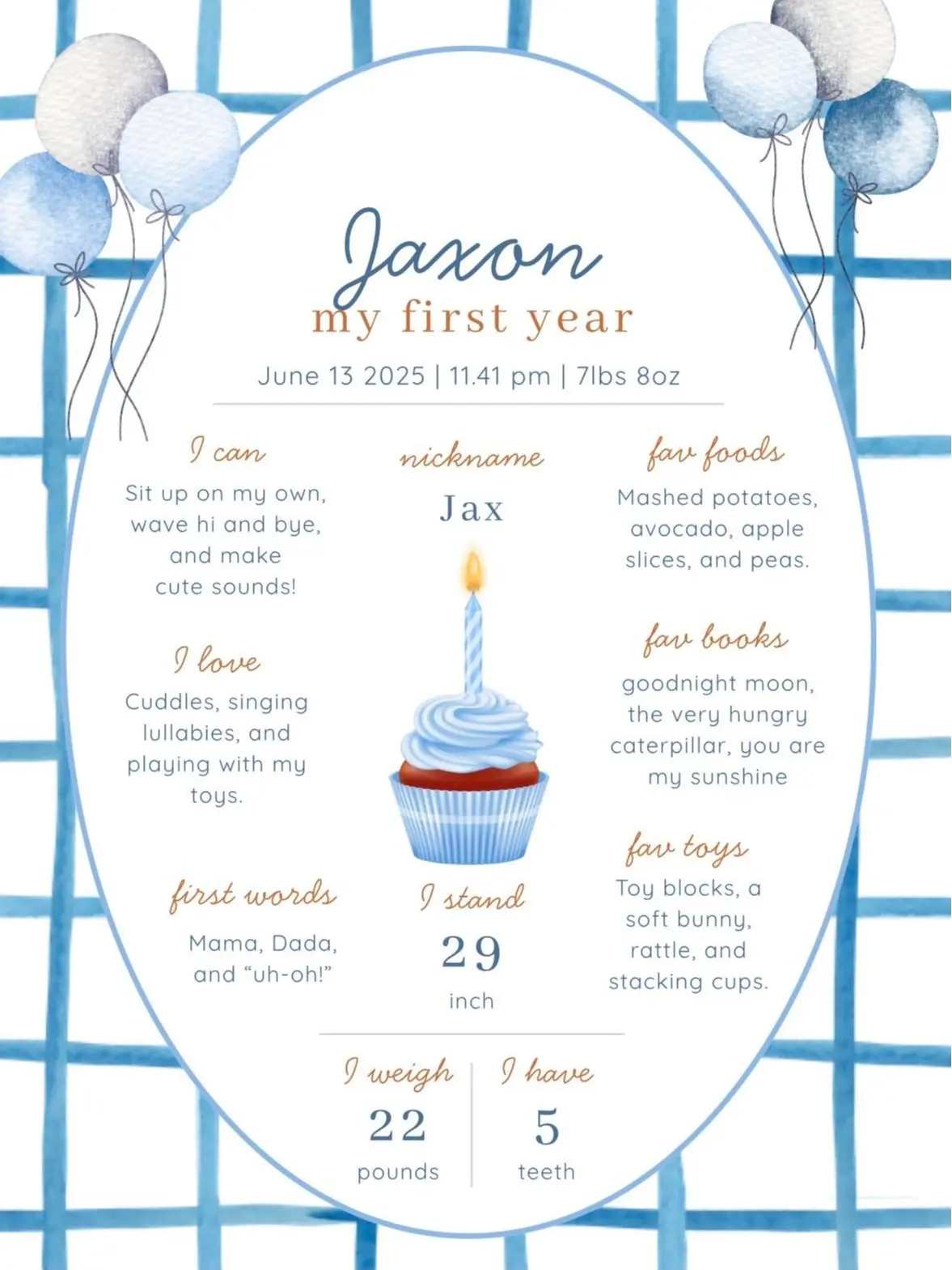 Baby 1st Birthday Poster