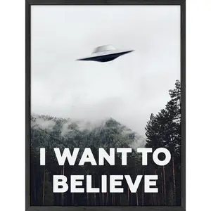 I Want to Believe Poster - Artistic Wall Decor Print for Room Aesthetic and Vibe