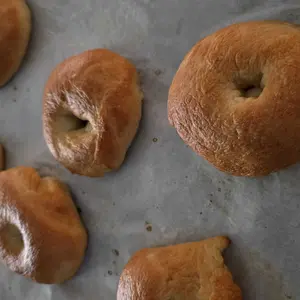 Rosewill 25-in-1 Automatic Bread Maker Machine with 3 Loaf Size up to 2LB, 700W High Power Dual Heater Bread Maker with BPA-free Nonstick Coating Pan, Max 15 Hours Delay Timer, Low Noise - Silver