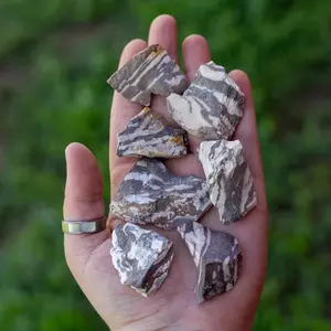 Down To Earth Zebra Jasper Raw 1-2 Inch Rough Pieces for Balance Harmony & Positivity Healing Crystal for Root & Crown Chakras