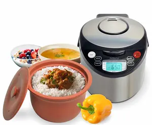 VITACLAY 7-IN-1 SMART ORGANIC MULTI-COOKER VM7900 - Rice Cooker, Slow Cooker, Digital Steamer & Bonus Yogurt Maker for Versatile Kitchen Use