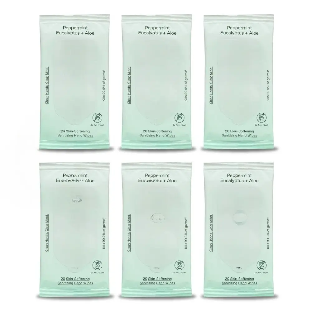 Peppermint Eucalyptus Sanitizing Hand Wipes - Clean Hands, Clear Mind On The Go Sanitizer for Kids and Adults - Travel Size 6 packs of 20ct Wipes (120 Wipes)