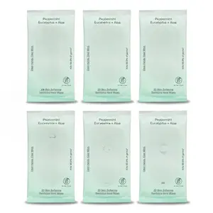 Peppermint Eucalyptus Sanitizing Hand Wipes - Clean Hands, Clear Mind On The Go Sanitizer for Kids and Adults - Travel Size 6 packs of 20ct Wipes (120 Wipes)