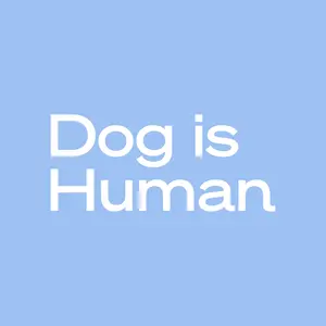 background preload poster image 