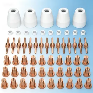 Plasma Cutting Consumables 60PCS PT31 Compatible with CUT-45 CUT-50 CT-312 MIG205MP Plasma Cutter Torch PT-31 JG-40 LG-40 Nozzles Electrodes Swirl Rings Reusable