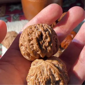 [Quick sale] Rare Stone & Stone Carvings