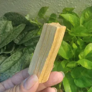 Palo Santo Aromatic Burning Stick for Spiritual and Energy Cleansing Small Size