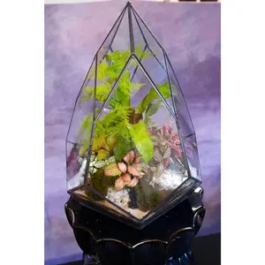 Vortex Terrarium