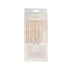 Bunny Reusable Straws