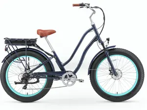 EVRY journey  FAT TIRE  Deluxe E-Bike
