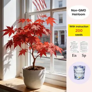 Acer Palmatum Seeds – Japanese Maple Bonsai Starter for Home & Garden