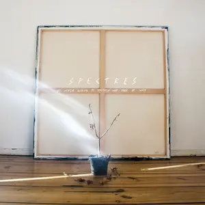 Spectres - It's Never Going To Happen And This Is Why  [VINYL RECORD - LP] Explicit, Colored Vinyl, Clear Vinyl, Gatefold LP Jacket, 140 Gram Vinyl,