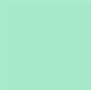 Siser EasyWeed 12" - Mint