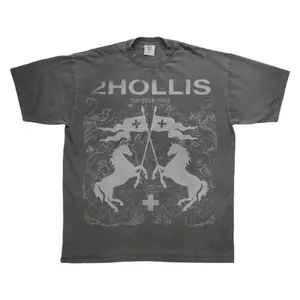 Hollis Fan Star Tour T-Shirt - Y2K Streetwear Music Tee For Concert Outfits & Trendy Style