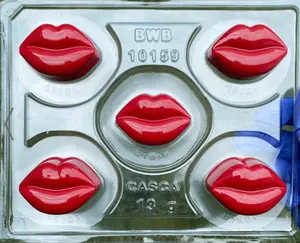 BWB 3 Piece Lip Mold