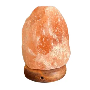 Authentic Himalayan Salt Lamps Decor